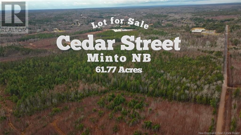 Lot Cedar Street, Minto, New Brunswick  E4B 2Z8 - Photo 1 - NB110291