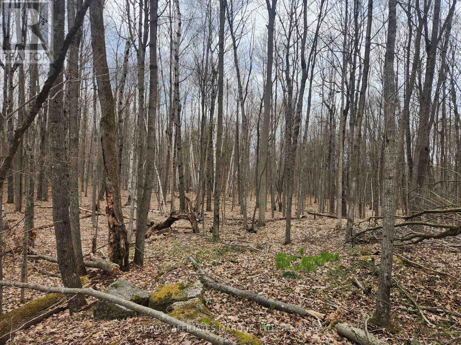 Lot Cedar Sands Rdwy Way, Rideau Lakes, Ontario  K0E 1N0 - Photo 13 - X11892374