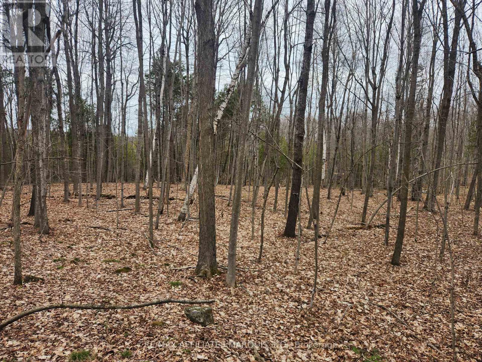 Lot Cedar Sands Rdwy Way, Rideau Lakes, Ontario  K0E 1N0 - Photo 14 - X11892374