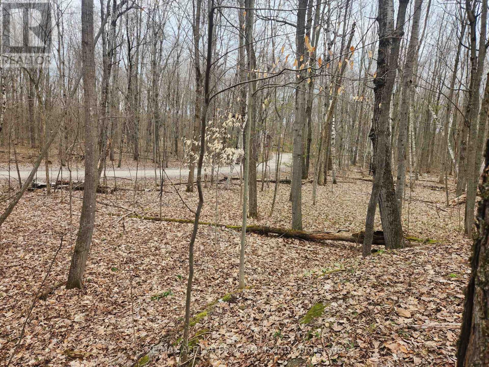 Lot Cedar Sands Rdwy Way, Rideau Lakes, Ontario  K0E 1N0 - Photo 3 - X11892374