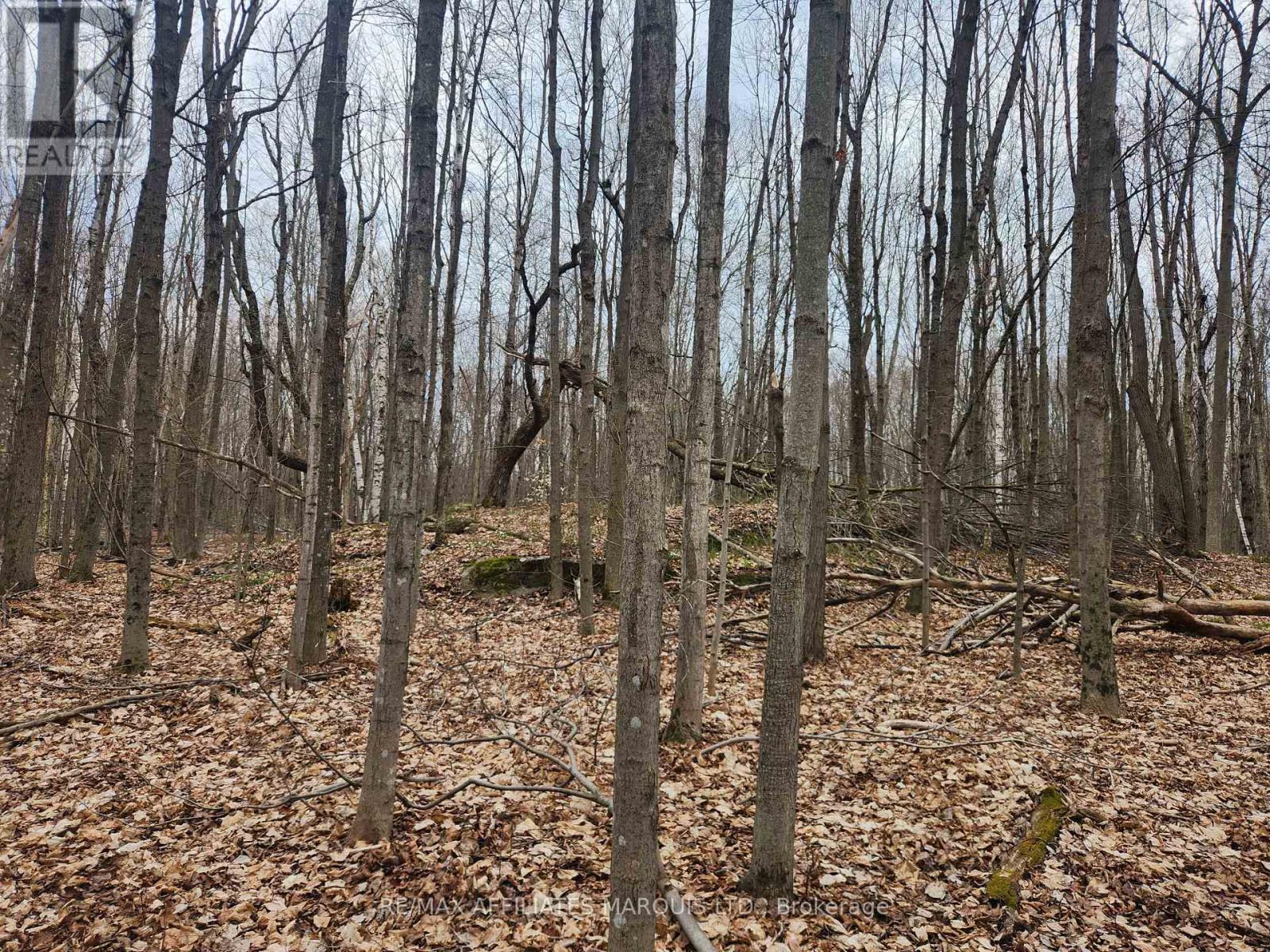 Lot Cedar Sands Rdwy Way, Rideau Lakes, Ontario  K0E 1N0 - Photo 4 - X11892374