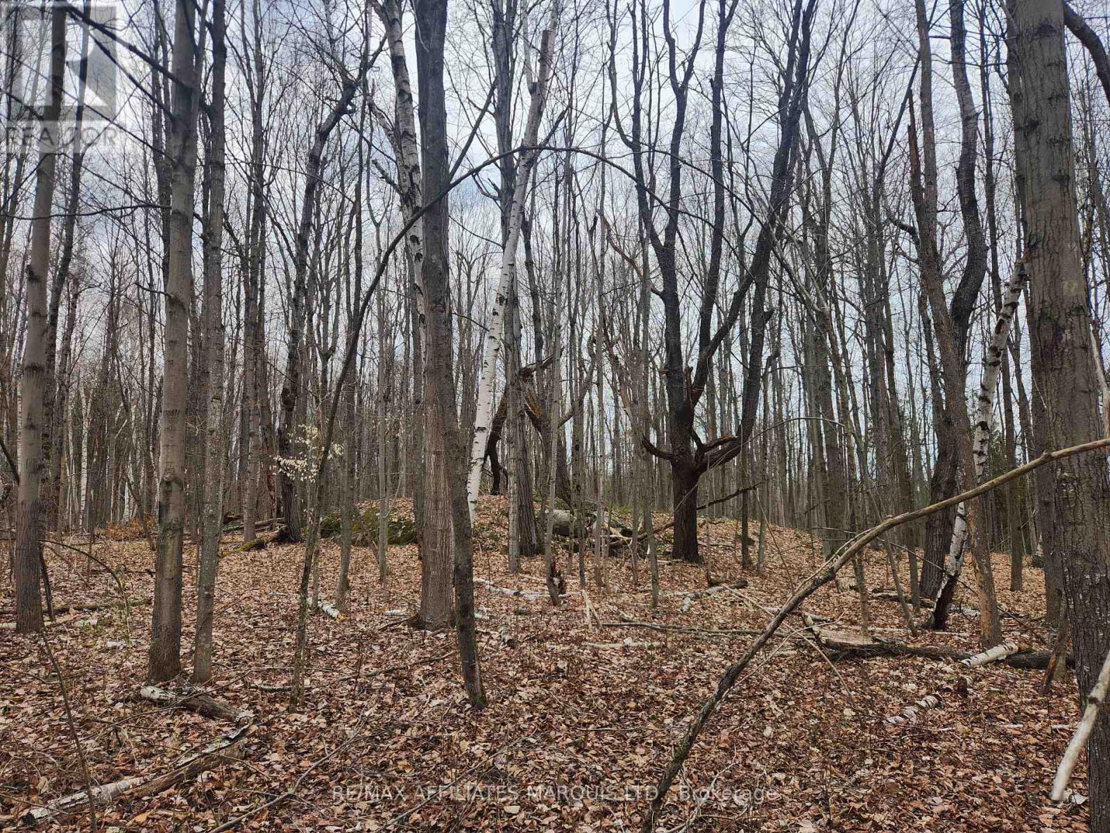 Lot Cedar Sands Rdwy Way, Rideau Lakes, Ontario  K0E 1N0 - Photo 5 - X11892374