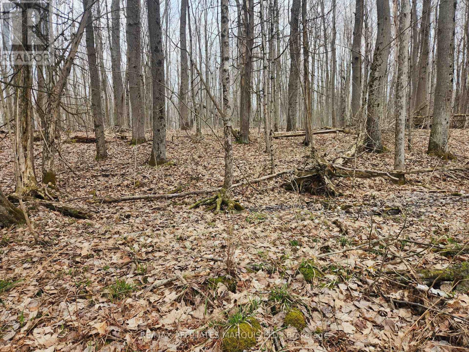 Lot Cedar Sands Rdwy Way, Rideau Lakes, Ontario  K0E 1N0 - Photo 6 - X11892374
