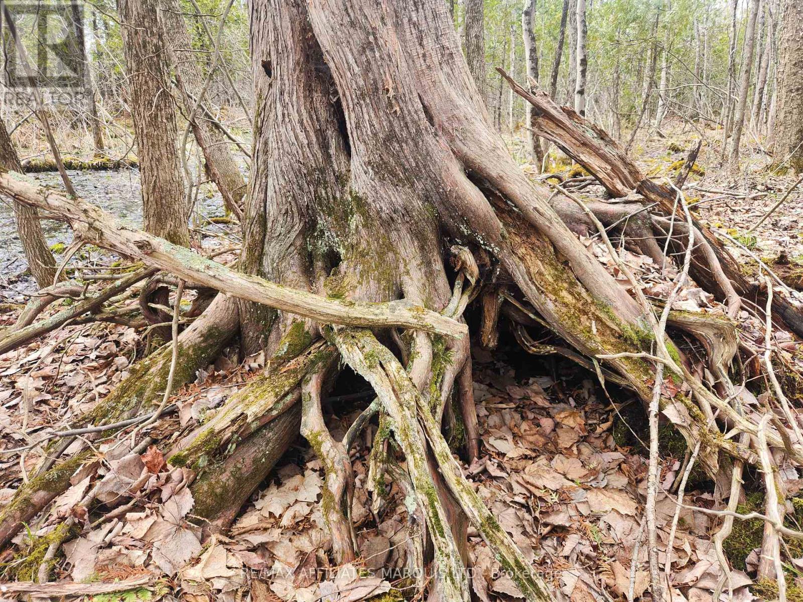 Lot Cedar Sands Rdwy Way, Rideau Lakes, Ontario  K0E 1N0 - Photo 7 - X11892374