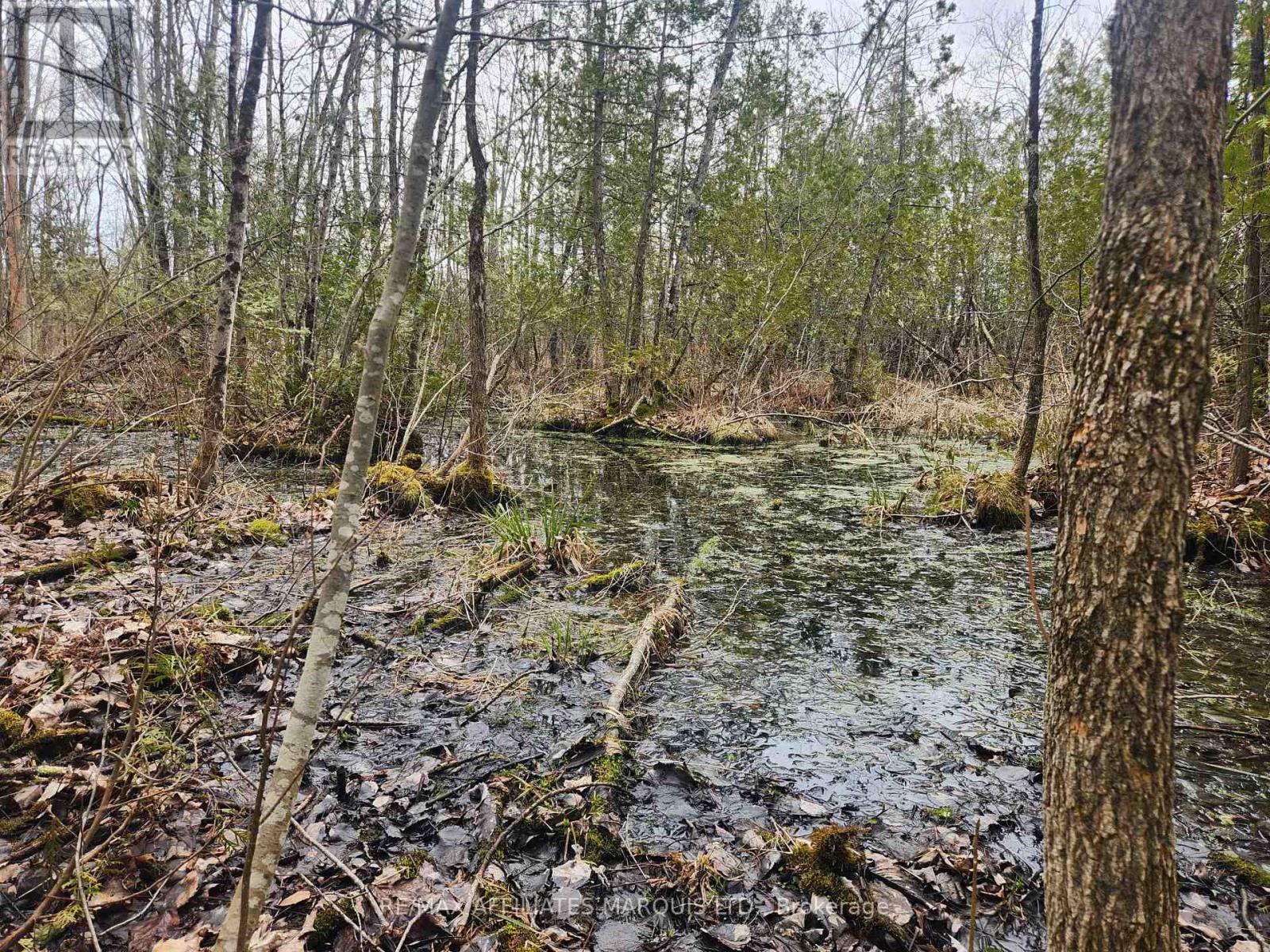 Lot Cedar Sands Rdwy Way, Rideau Lakes, Ontario  K0E 1N0 - Photo 8 - X11892374