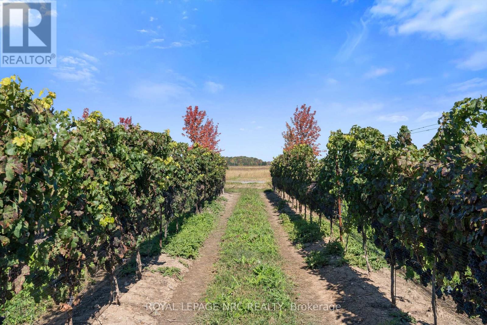 N/a - N/a Queenston Road E, Niagara-On-The-Lake (Rural), Ontario  L0S 1J0 - Photo 17 - X11892403