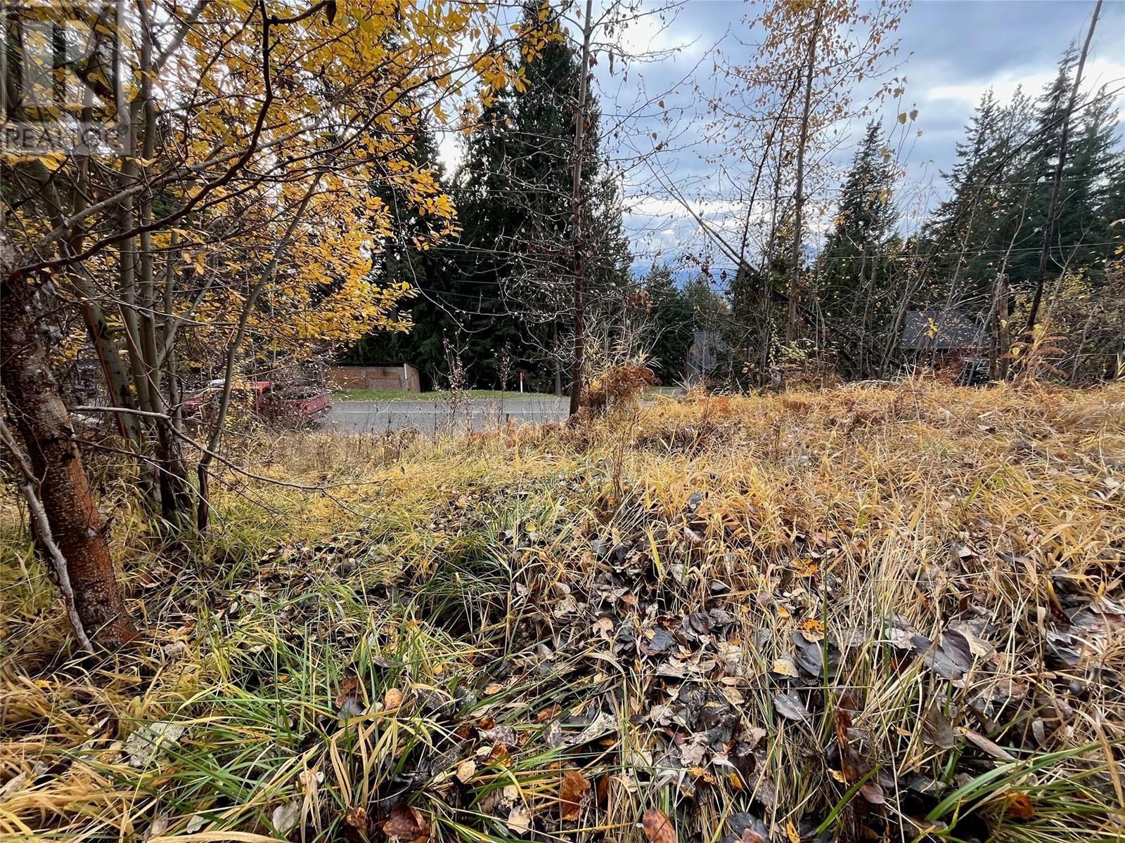 Lot 150 Anglemont Drive Lot# 150, Anglemont, British Columbia  V0E 1M8 - Photo 4 - 10330348