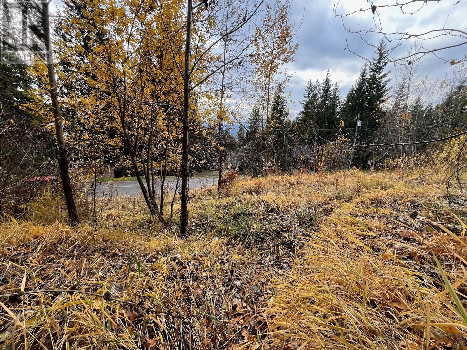 Lot 150 Anglemont Drive Lot# 150, Anglemont, British Columbia  V0E 1M8 - Photo 3 - 10330348