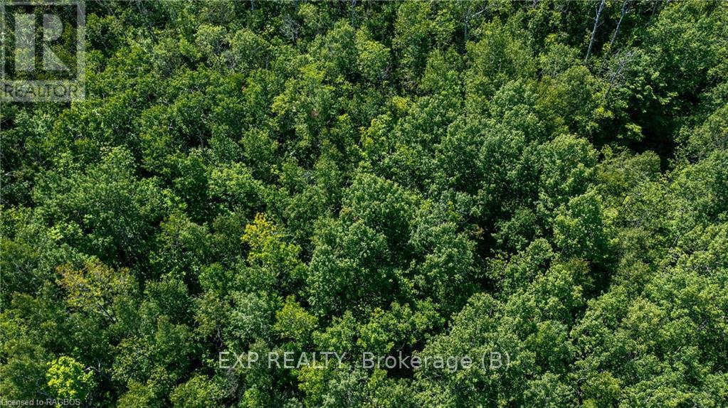 Lt 14 Pl 834 Grey Road 1, Georgian Bluffs, Ontario  N0H 2T0 - Photo 11 - X10849558