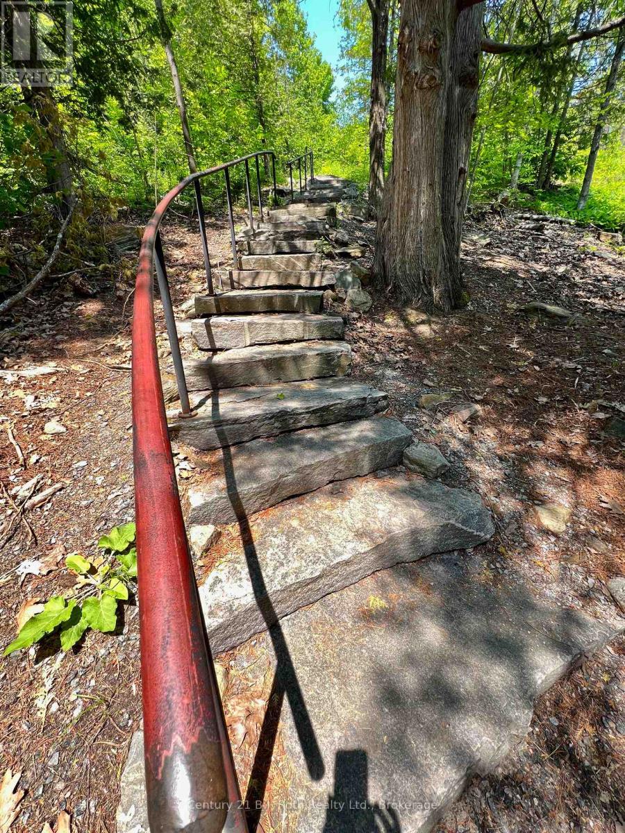 231 Hilltop Grandview Drive, Huntsville, Ontario  P1H 2J5 - Photo 30 - X11885034