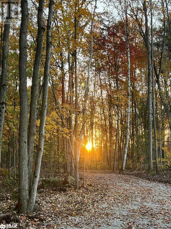 3172 Searidge Street, Severn, Ontario  L3V 8R1 - Photo 27 - 40684988