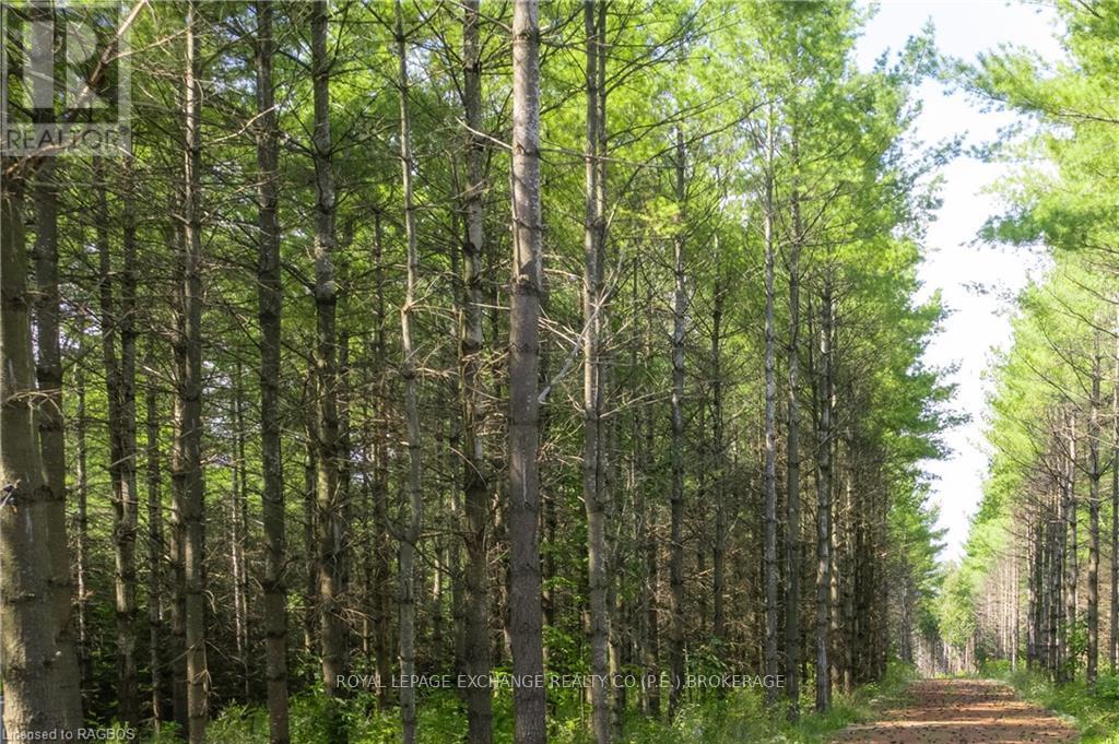 502265 Concession 10 Ndr, West Grey, Ontario  N0G 1S0 - Photo 21 - X10847646