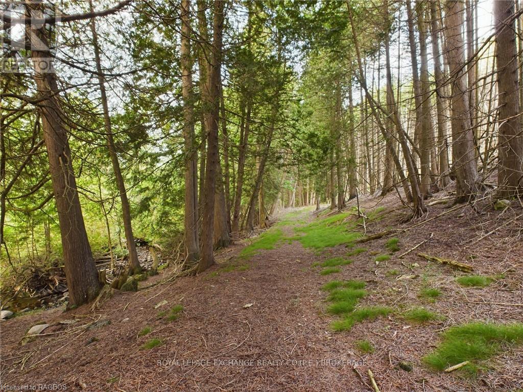 502265 Concession 10 Ndr, West Grey, Ontario  N0G 1S0 - Photo 22 - X10847646