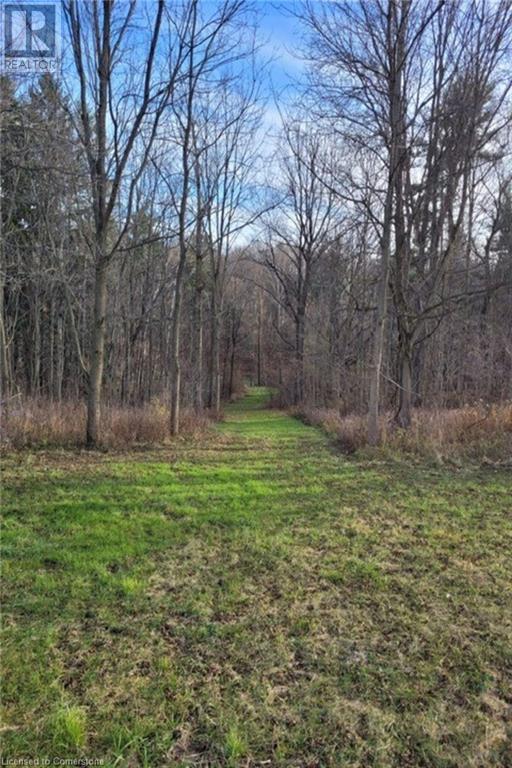 Pt Lt 22 Concession 2 Road W, Flamborough, Ontario  L0R 1T0 - Photo 35 - 40685271