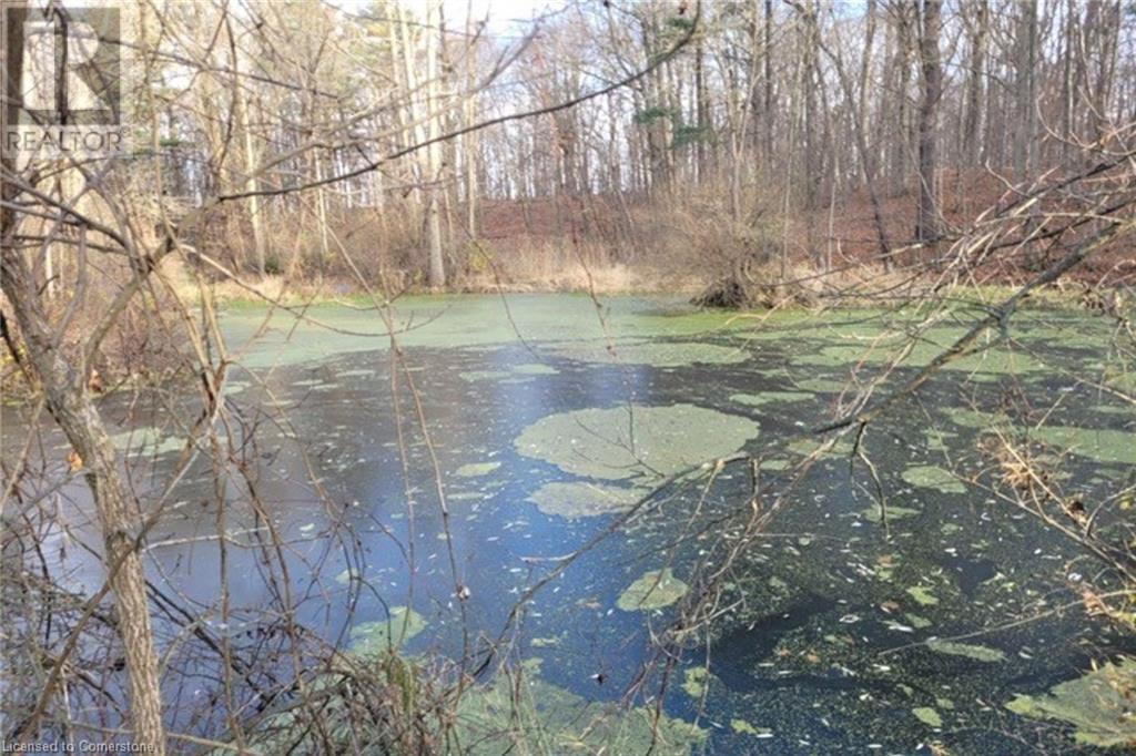 Pt Lt 22 Concession 2 Road W, Flamborough, Ontario  L0R 1T0 - Photo 26 - 40685271