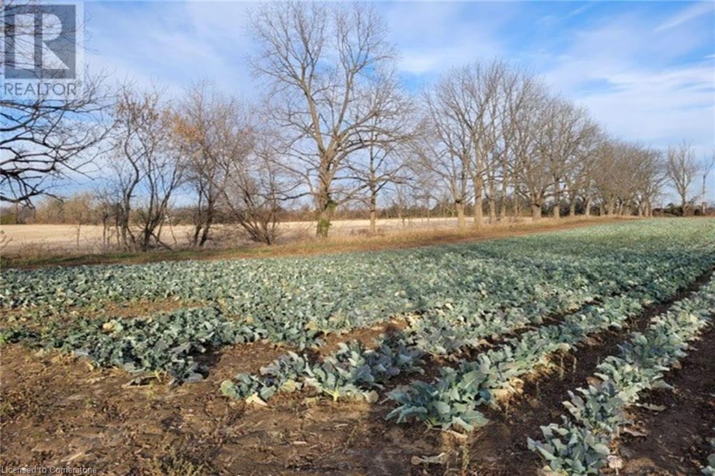 Pt Lt 22 Concession 2 Road W, Flamborough, Ontario  L0R 1T0 - Photo 29 - 40685271