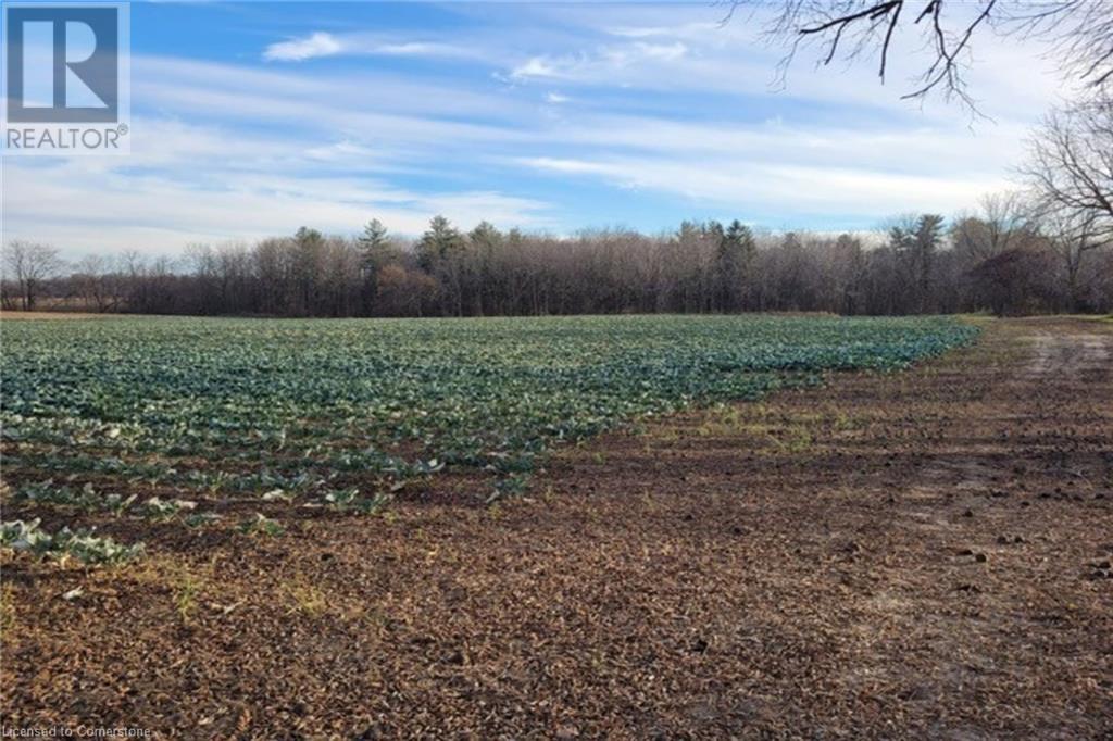 Pt Lt 22 Concession 2 Road W, Flamborough, Ontario  L0R 1T0 - Photo 34 - 40685271