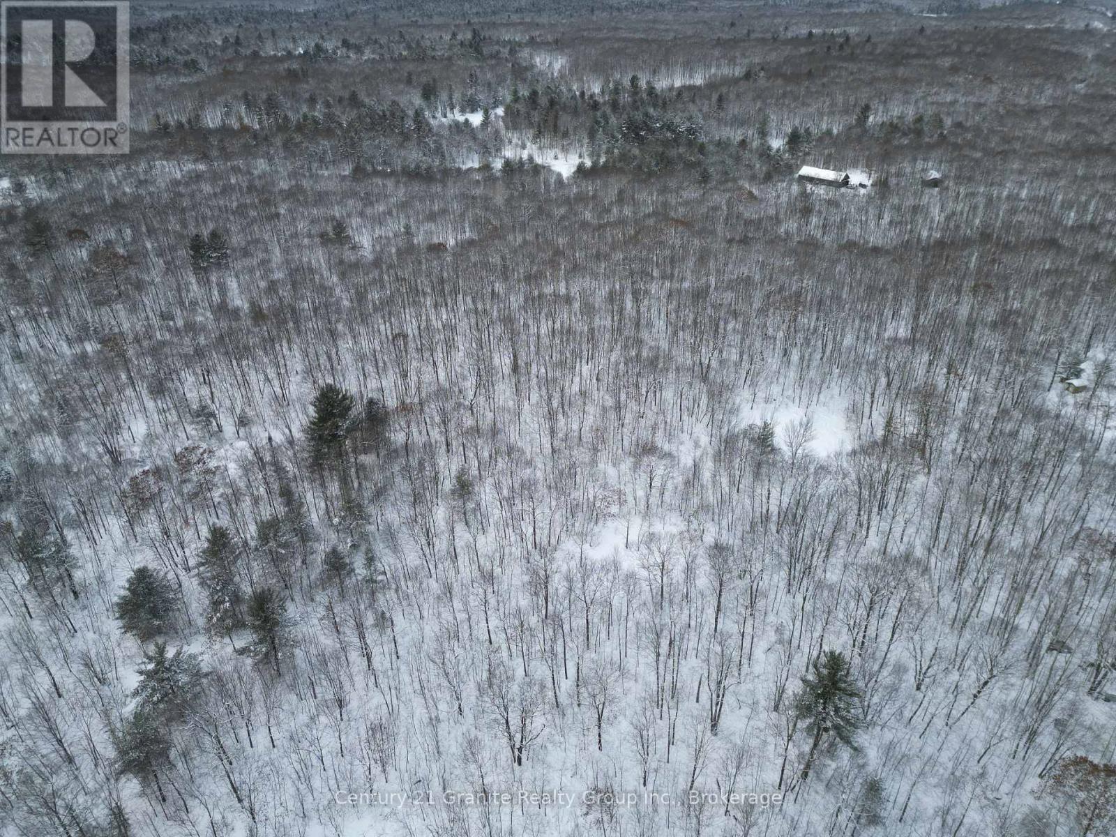 1694 Rackety Trail Road, Minden Hills, Ontario  K0M 2K0 - Photo 14 - X11892824