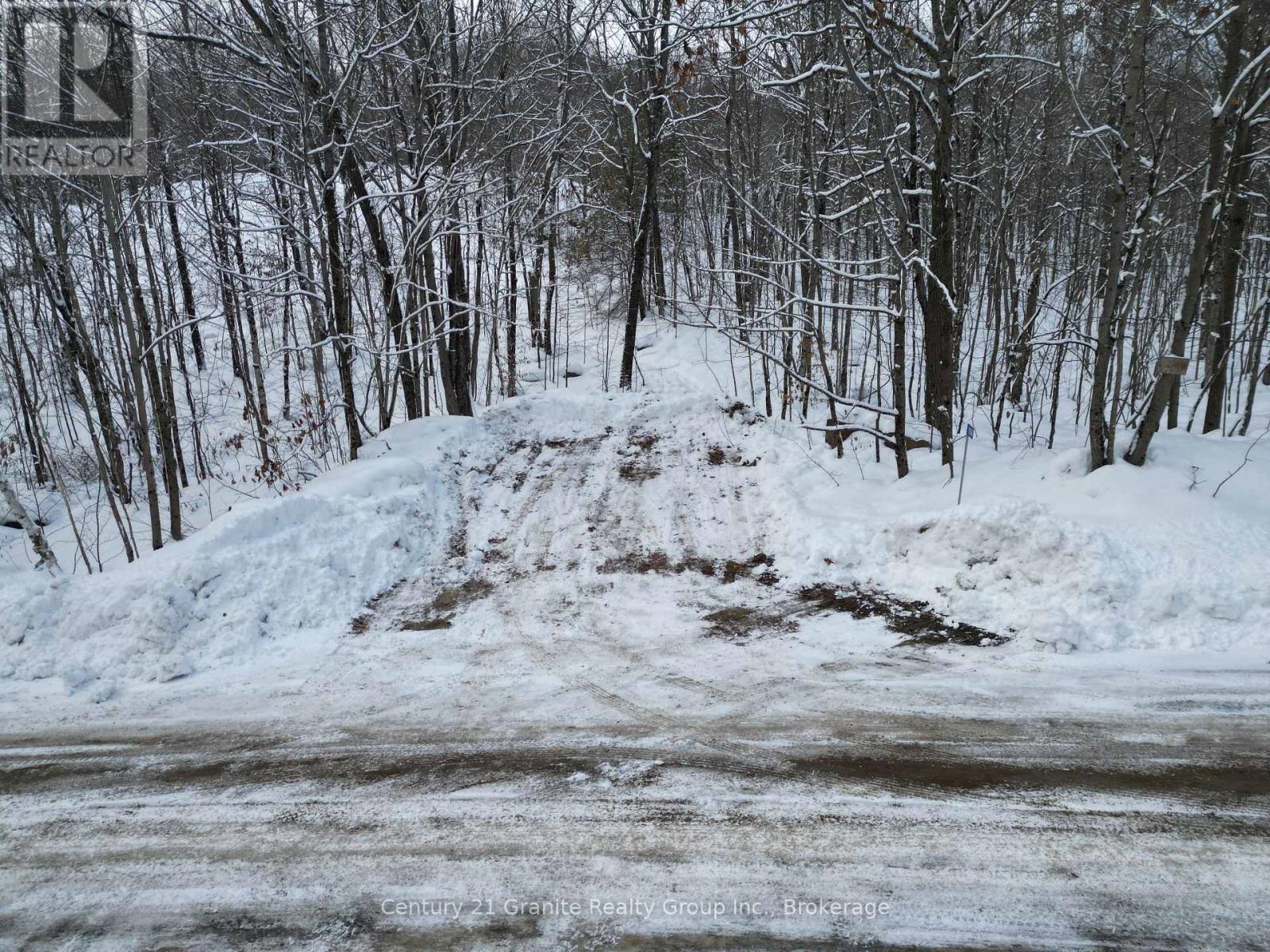 1694 Rackety Trail Road, Minden Hills, Ontario  K0M 2K0 - Photo 4 - X11892824