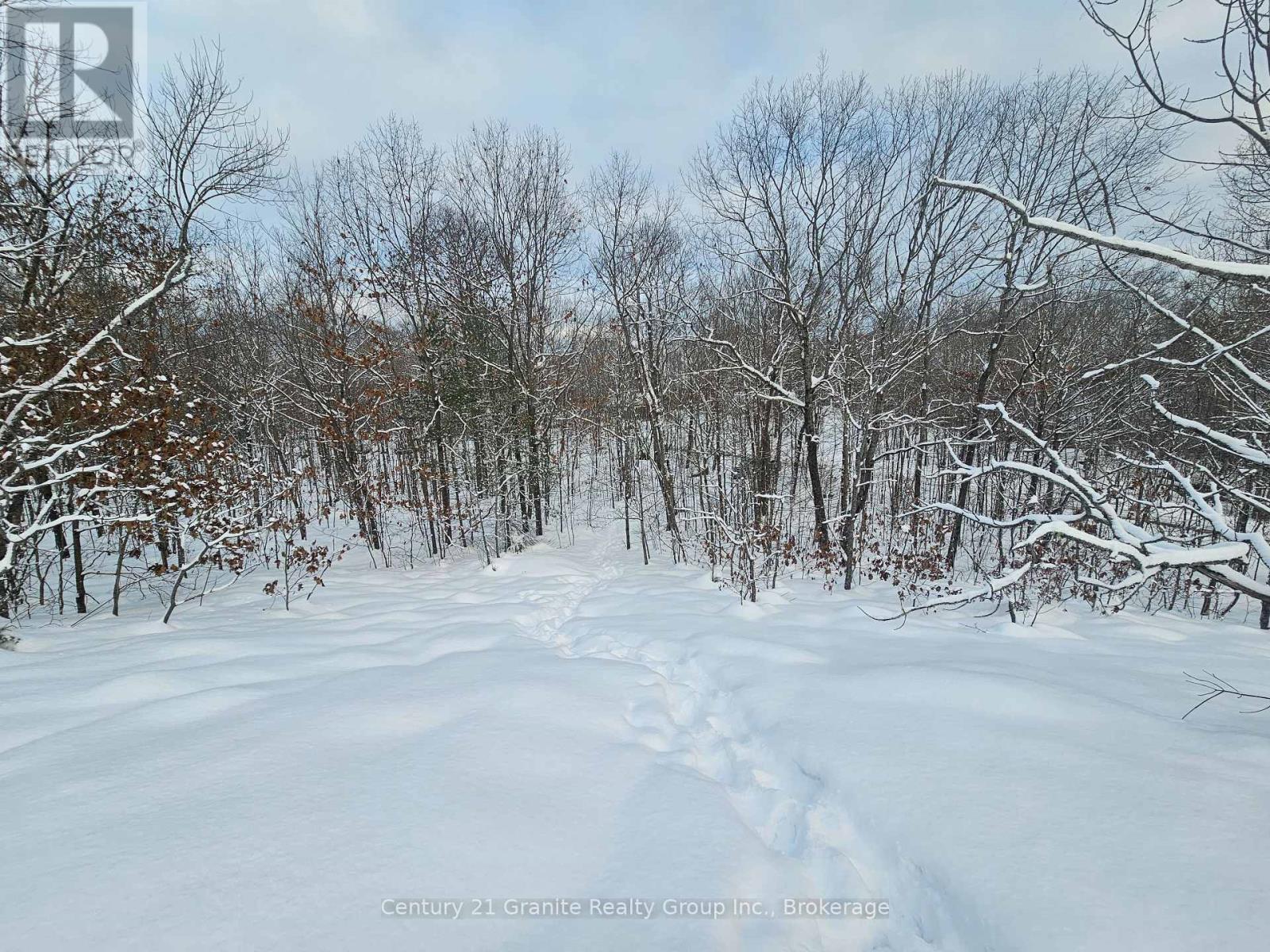 1694 Rackety Trail Road, Minden Hills, Ontario  K0M 2K0 - Photo 7 - X11892824