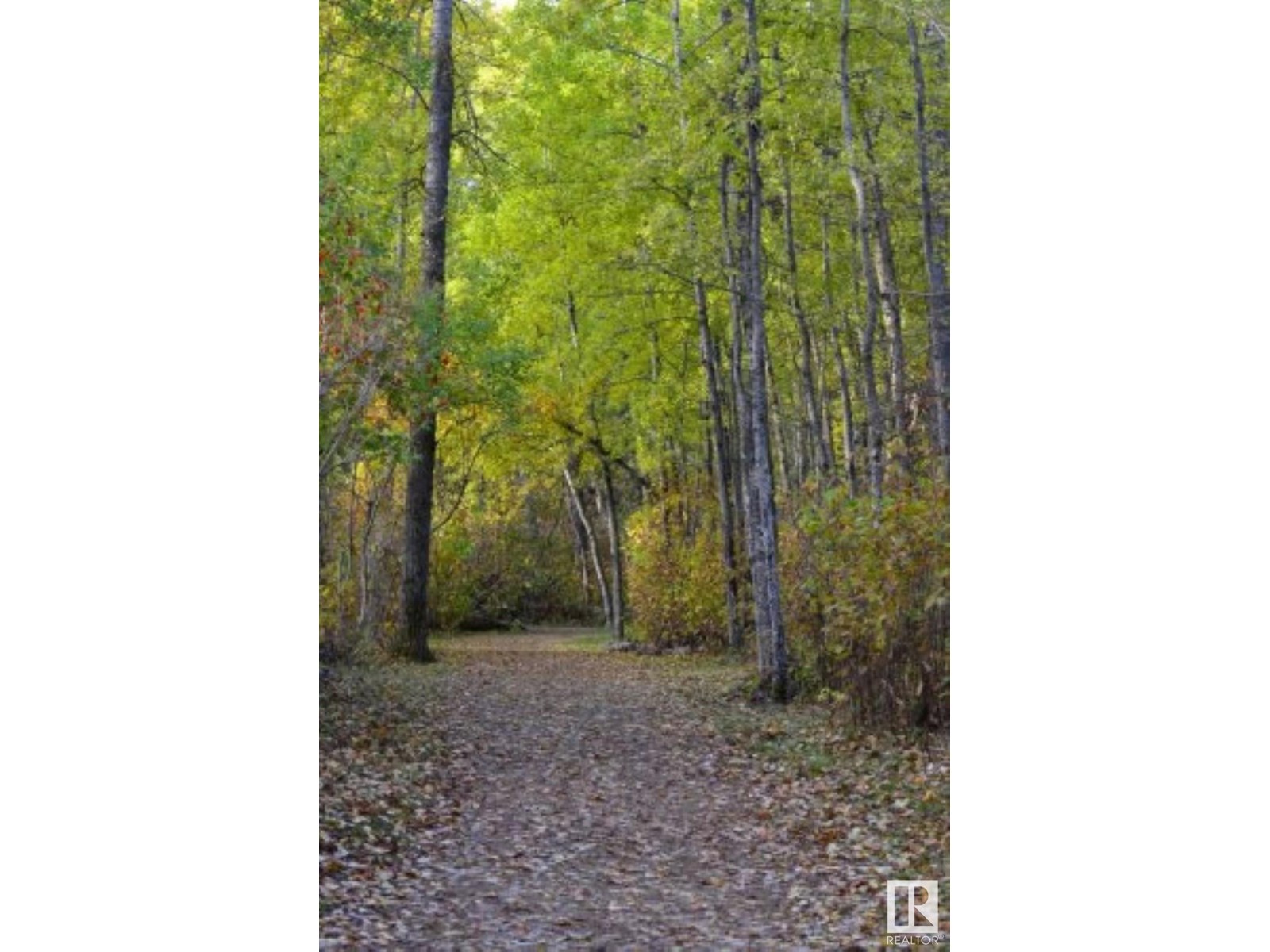 Property at #804 9707 105 ST NW image 3