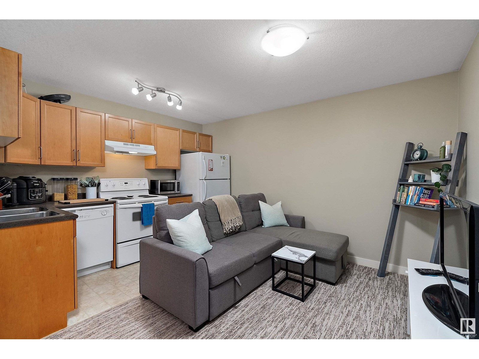 10906 72 Av Nw, Edmonton, Alberta  T6G 0A9 - Photo 34 - E4408187