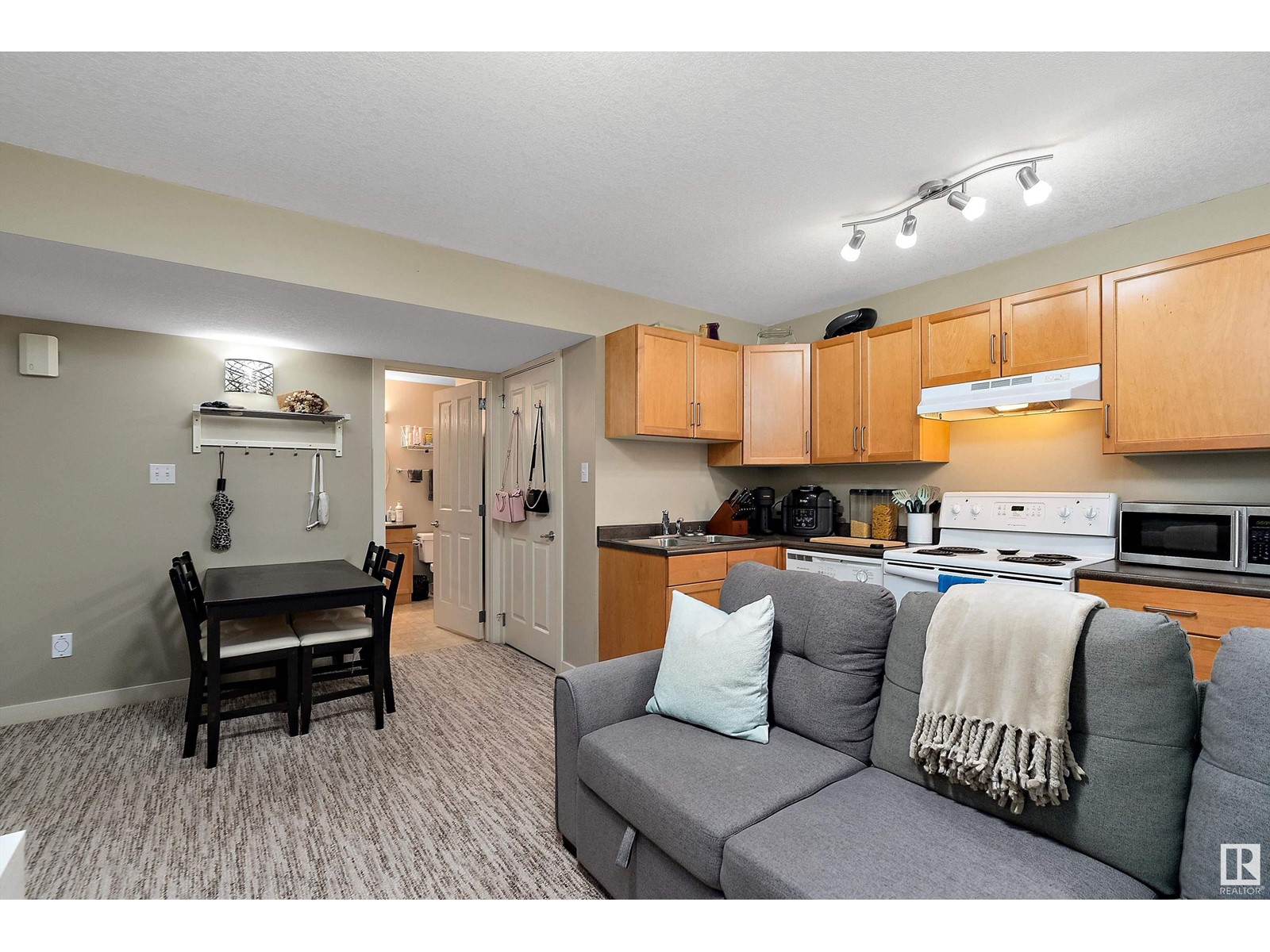 10906 72 Av Nw, Edmonton, Alberta  T6G 0A9 - Photo 33 - E4408187