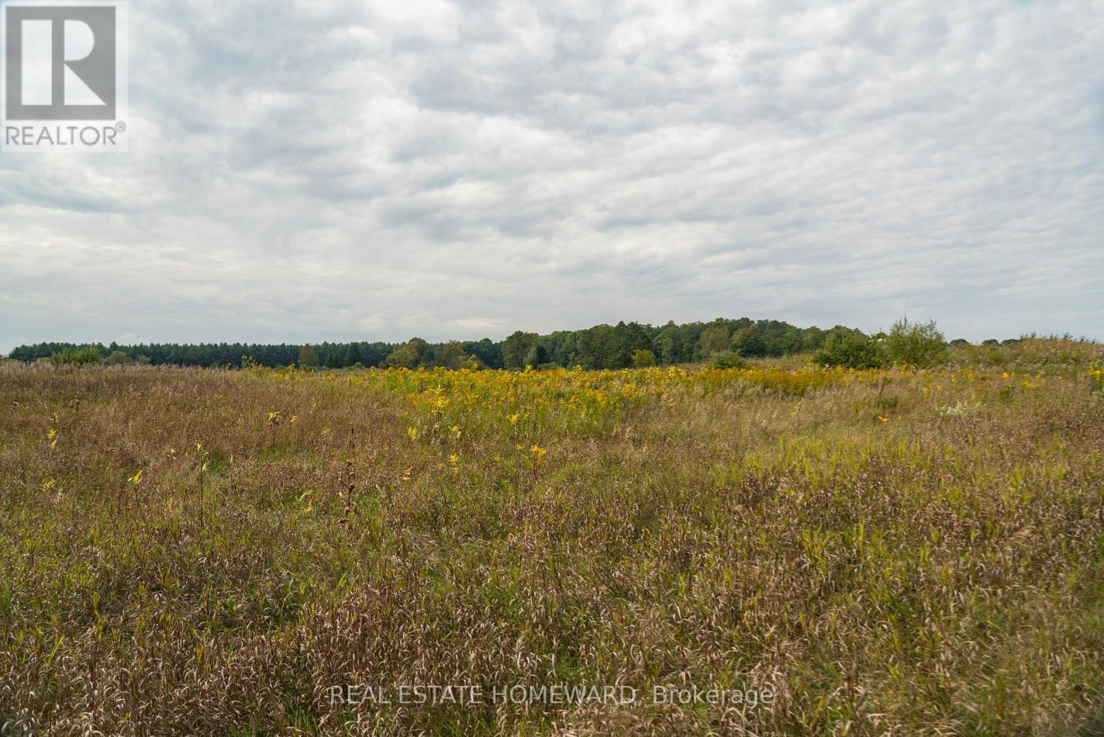 1430 County Rd 50 S, Adjala-Tosorontio, Ontario  L0N 1P0 - Photo 10 - N9362823