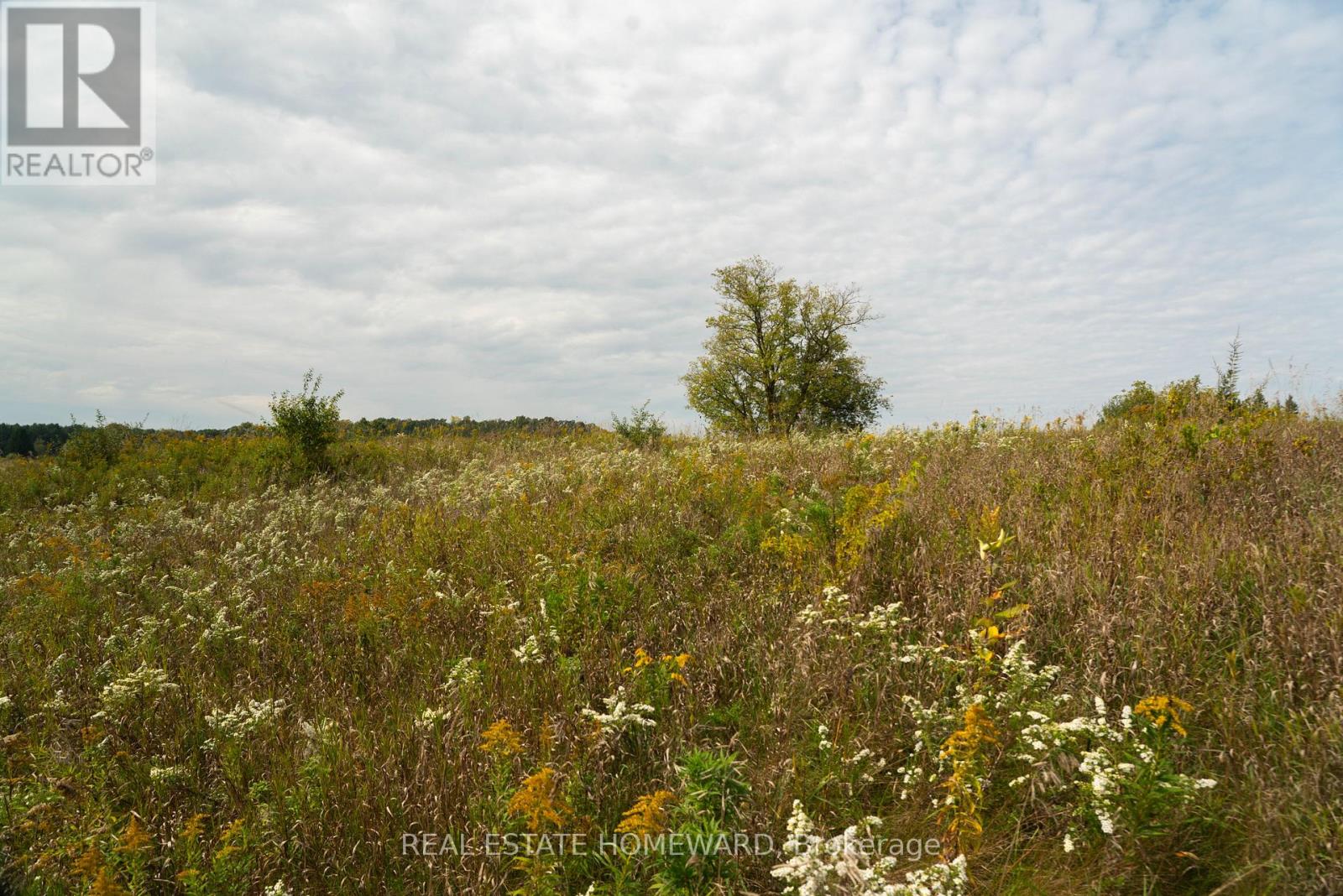 1430 County Rd 50 S, Adjala-Tosorontio, Ontario  L0N 1P0 - Photo 11 - N9362823