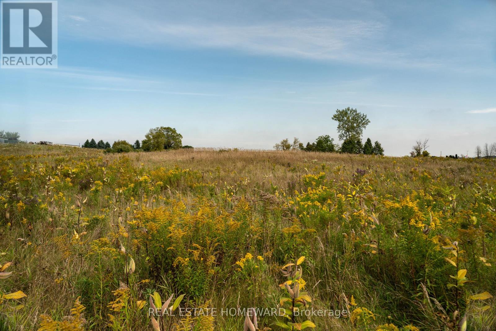 1430 County Rd 50 S, Adjala-Tosorontio, Ontario  L0N 1P0 - Photo 2 - N9362823