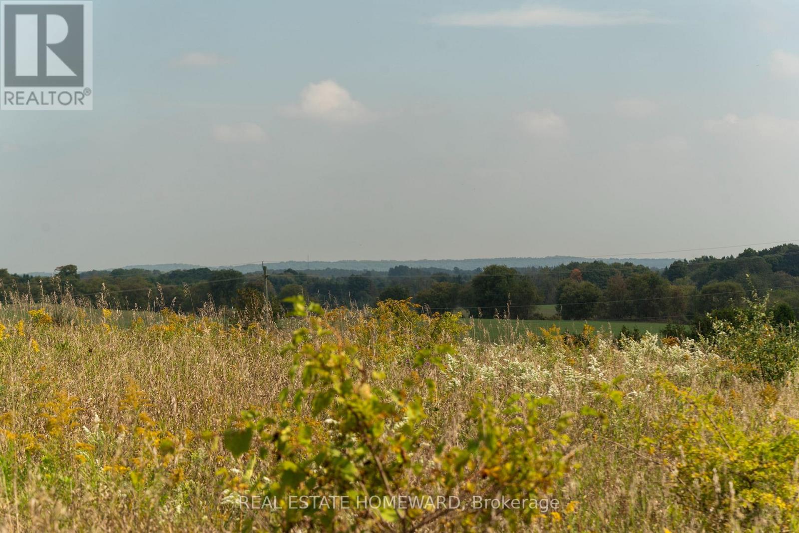 1430 County Rd 50 S, Adjala-Tosorontio, Ontario  L0N 1P0 - Photo 7 - N9362823