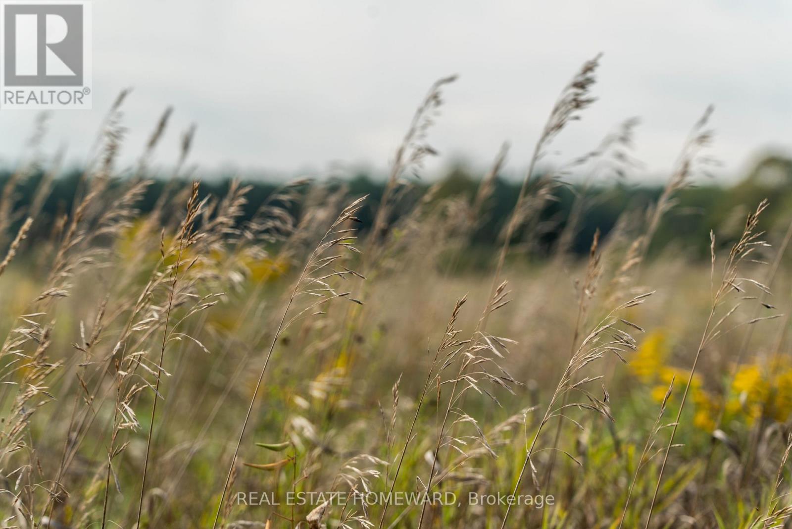 1430 County Rd 50 S, Adjala-Tosorontio, Ontario  L0N 1P0 - Photo 9 - N9362823