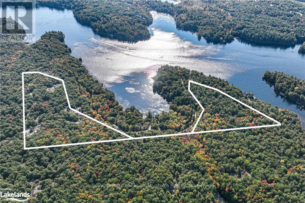 0 West Lionshead Road, Gravenhurst, Ontario  P0E 1G0 - Photo 3 - X10901703