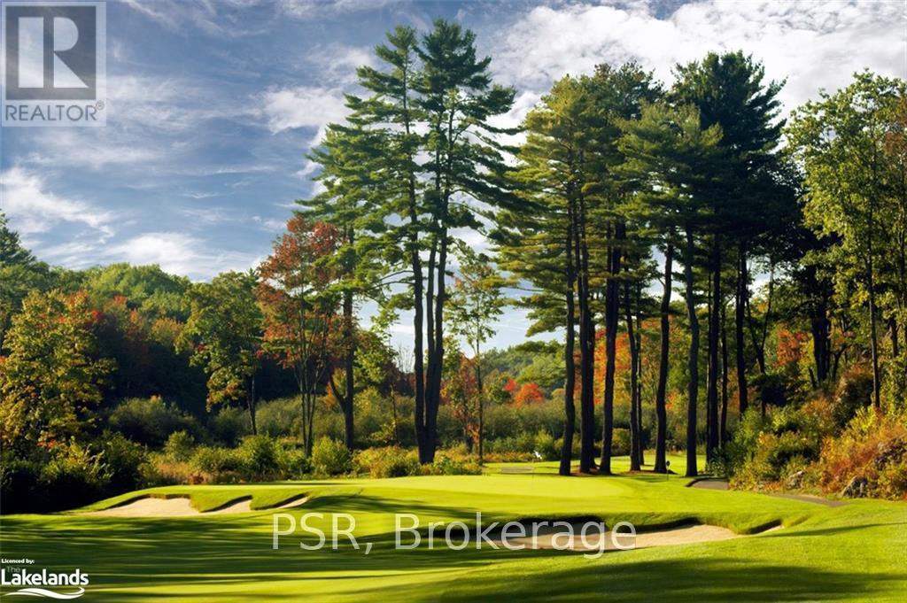 34 Carrick Trail, Gravenhurst, Ontario  P1P 0A6 - Photo 40 - X10435350