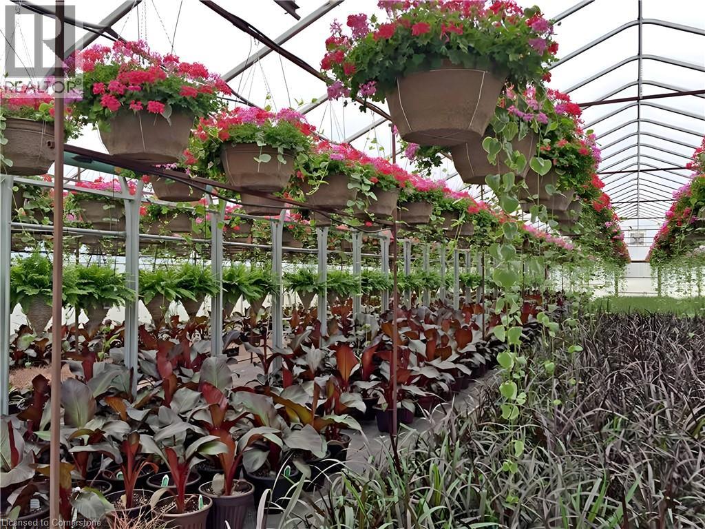 1101 Derry Road, Milton, Ontario  L7P 0E2 - Photo 43 - XH4189573