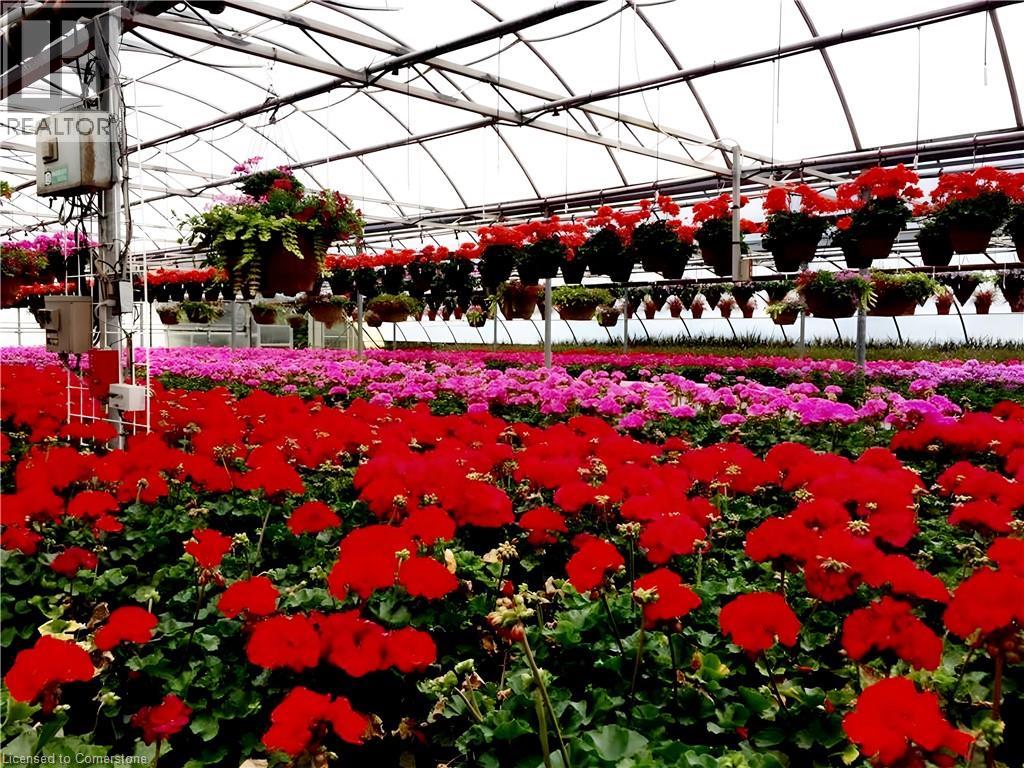 1101 Derry Road, Milton, Ontario  L7P 0E2 - Photo 13 - XH4189591