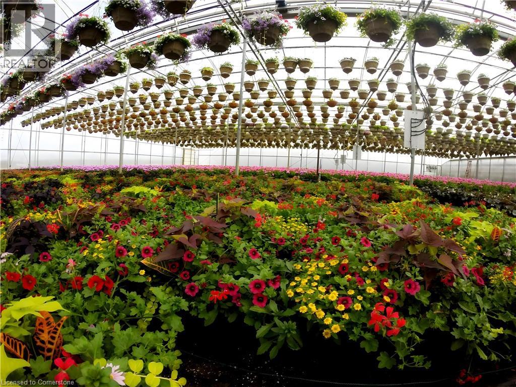 1101 Derry Road, Milton, Ontario  L7P 0E2 - Photo 10 - XH4189591