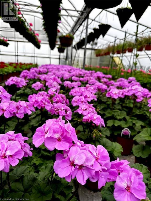 1101 Derry Road, Milton, Ontario  L7P 0E2 - Photo 14 - XH4189591