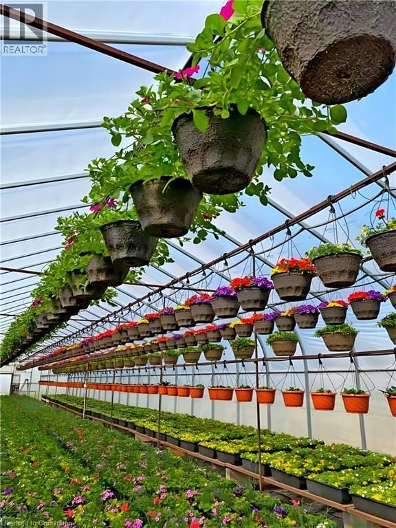 1101 Derry Road, Milton, Ontario  L7P 0E2 - Photo 17 - XH4189591