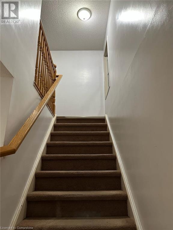 108 Veronica Drive, Kitchener, Ontario  N2A 2R9 - Photo 6 - 40685006