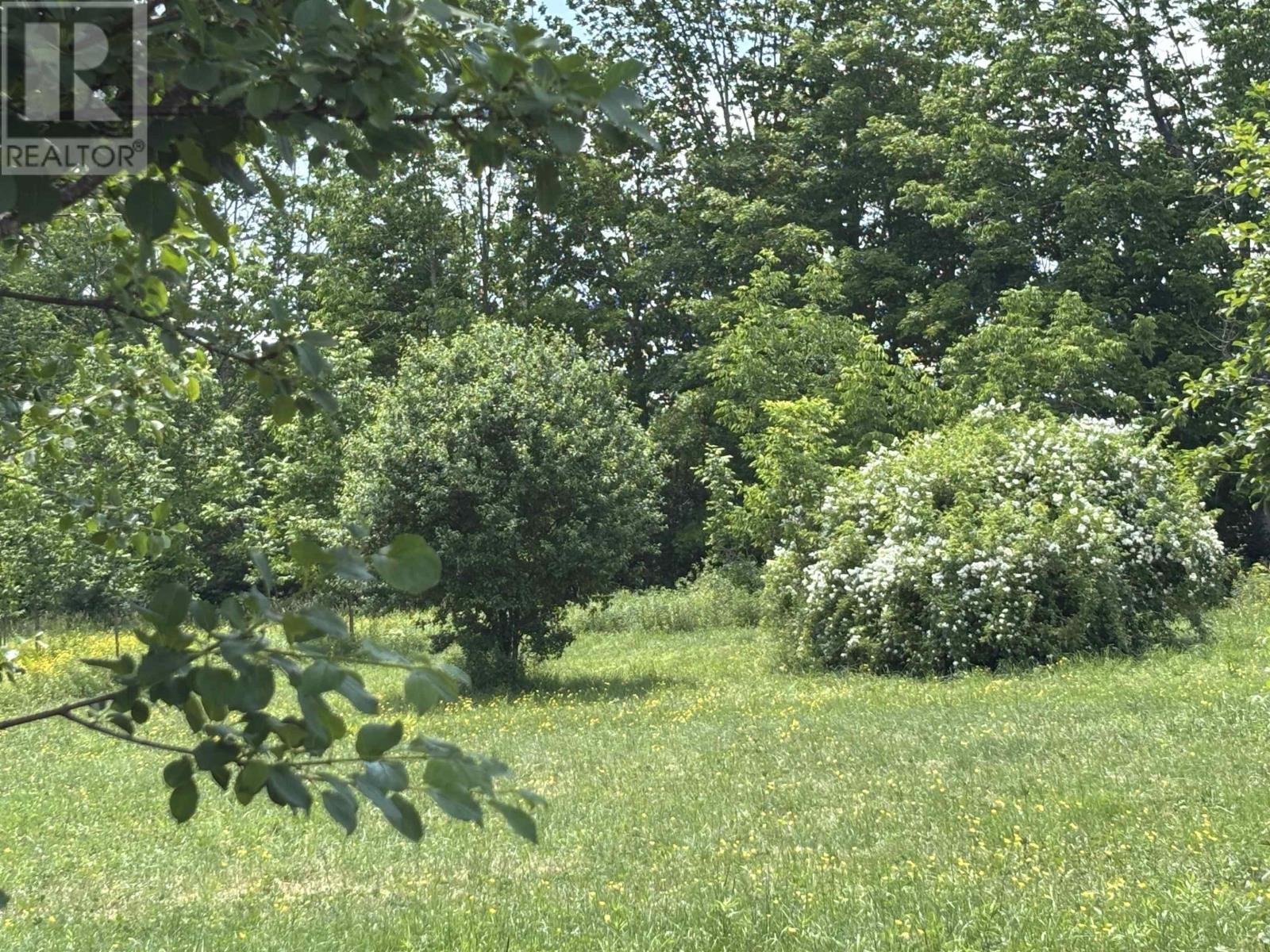 Lorem Ipsum Dolor Sit, Lyons Brook, Nova Scotia  B0K  - Photo 7 - DEMO27539166