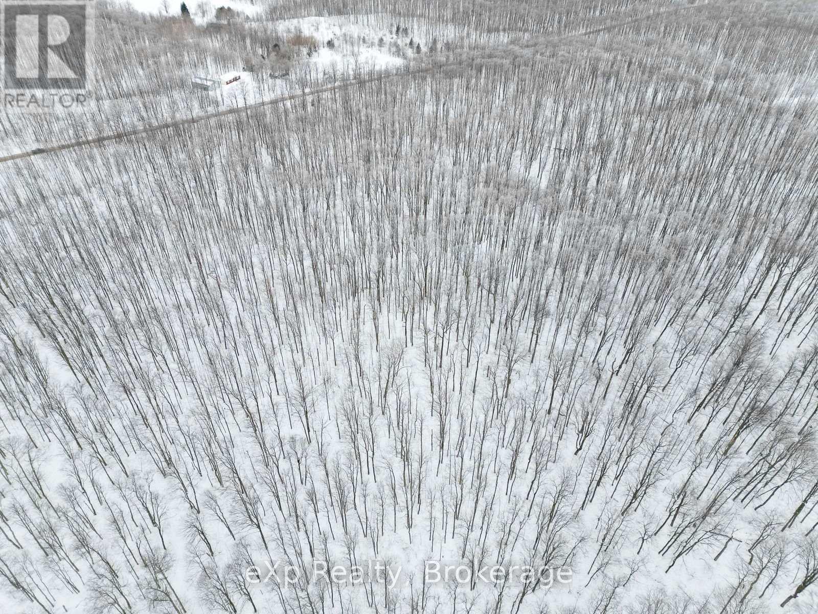 Pt Lt 8 4th Line, Blue Mountains, Ontario  N0H 2E0 - Photo 10 - X11893926