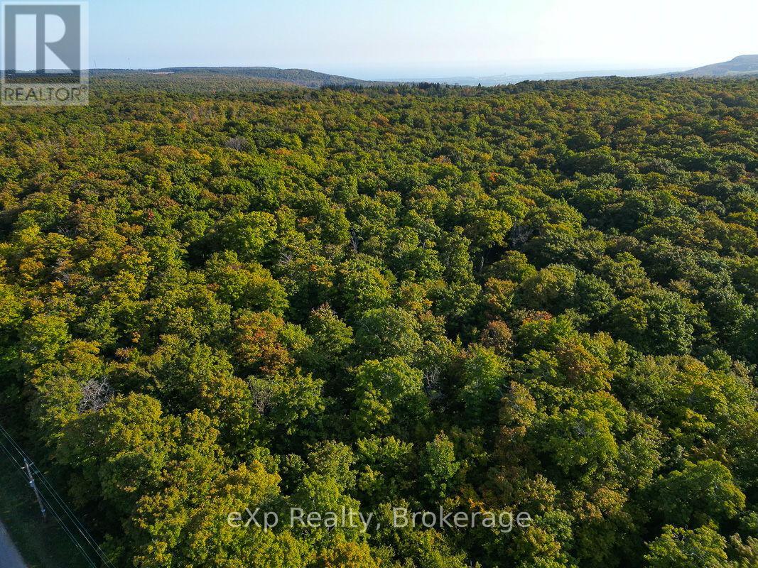 Pt Lt 8 4th Line, Blue Mountains, Ontario  N0H 2E0 - Photo 2 - X11893926
