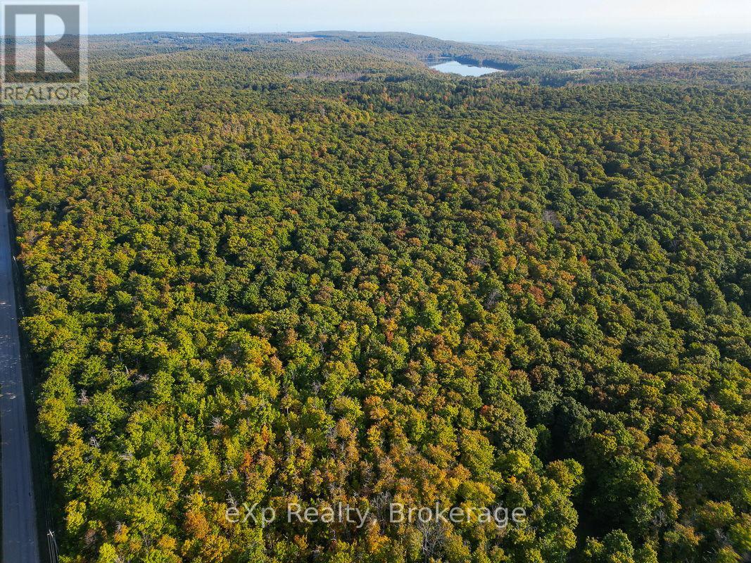Pt Lt 8 4th Line, Blue Mountains, Ontario  N0H 2E0 - Photo 3 - X11893926