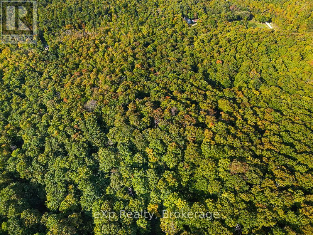 Pt Lt 8 4th Line, Blue Mountains, Ontario  N0H 2E0 - Photo 4 - X11893926