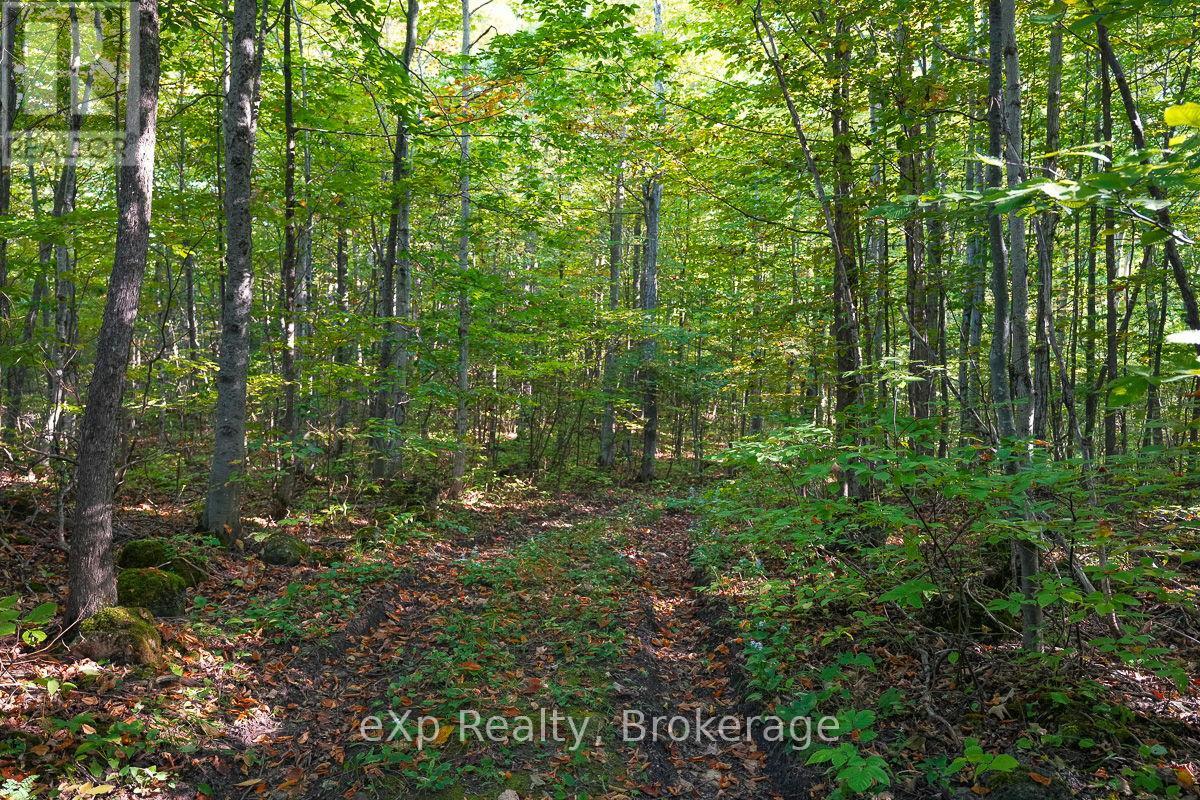 Pt Lt 8 4th Line, Blue Mountains, Ontario  N0H 2E0 - Photo 5 - X11893926