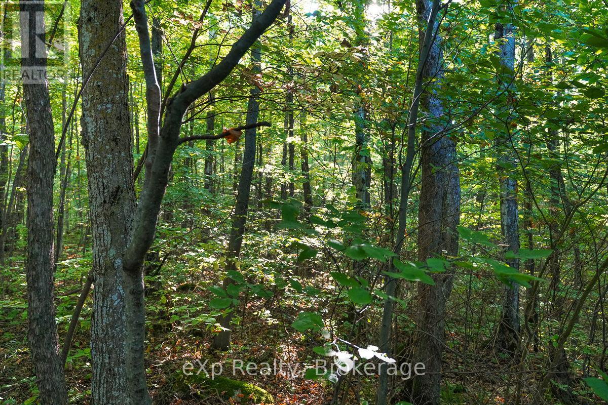 Pt Lt 8 4th Line, Blue Mountains, Ontario  N0H 2E0 - Photo 6 - X11893926