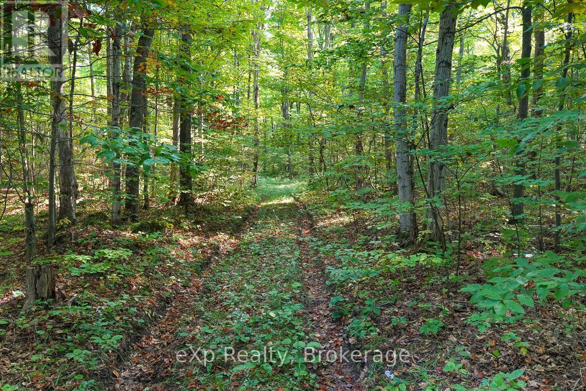 Pt Lt 8 4th Line, Blue Mountains, Ontario  N0H 2E0 - Photo 7 - X11893926