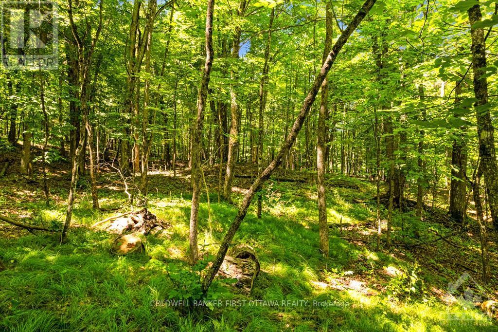 2561 Rideau Ferry Road, Drummond/north Elmsley, Ontario  K7H 0G5 - Photo 18 - X9516215