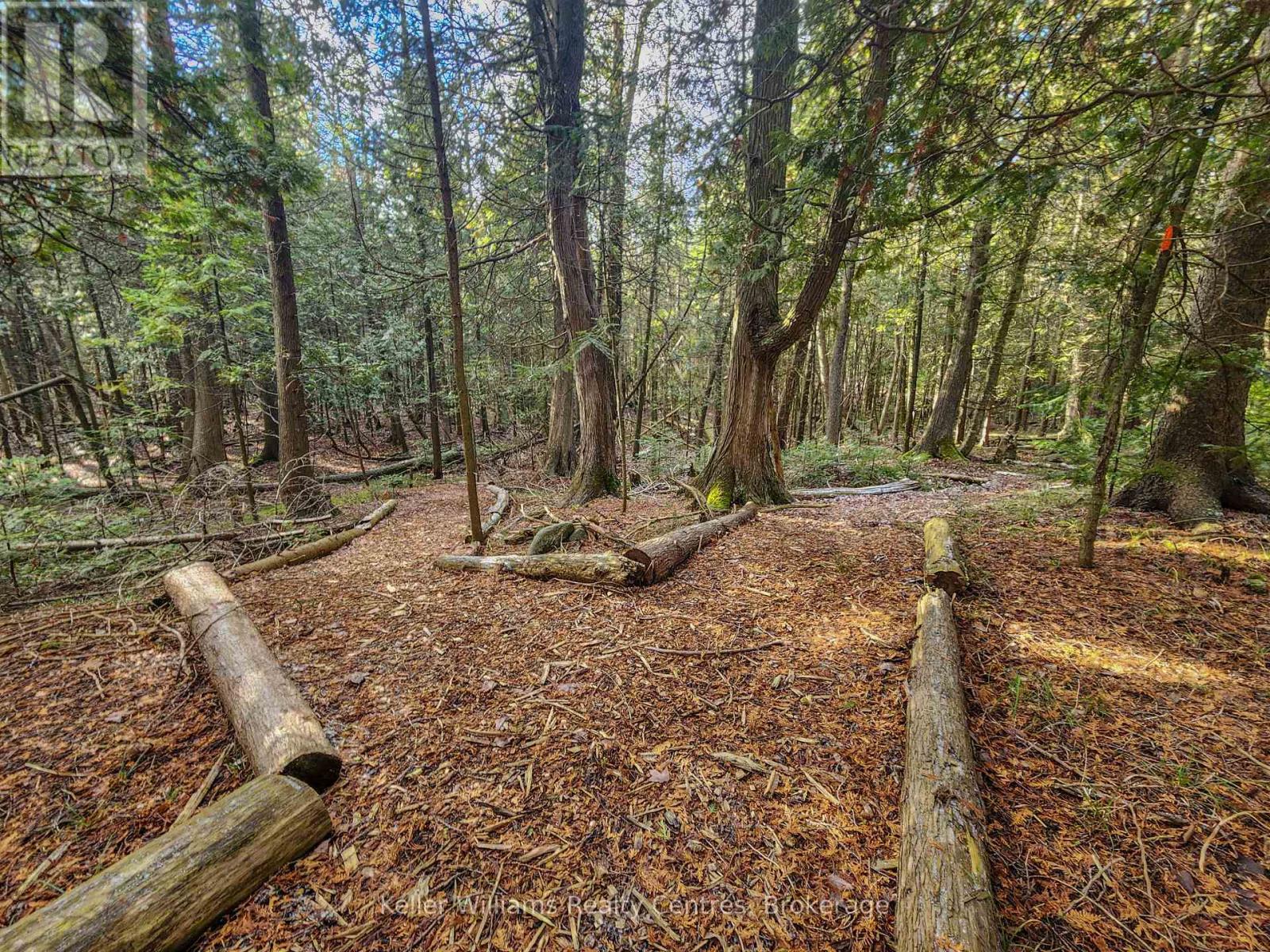 108 Highland Drive, West Grey, Ontario  N0C 1H0 - Photo 40 - X11894030